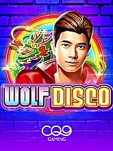 wolf-disco