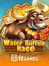 water-buffalo-race
