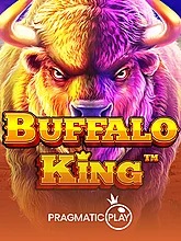 buffalo-king
