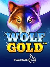 wolf-gold