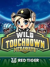 wild-touchdown-megaways